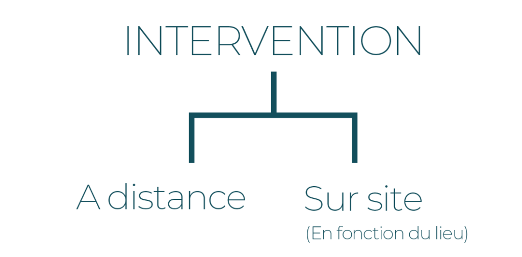 Interventions à distance ou sur site